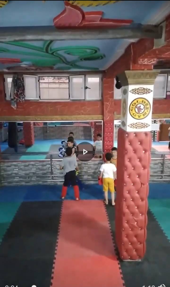 Golden Gym — photo 4