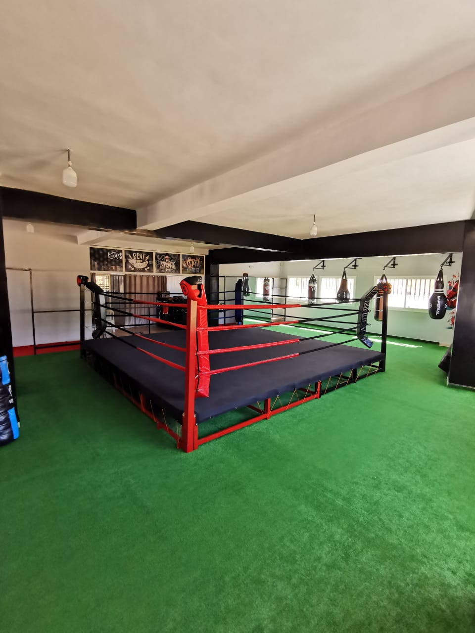 Boxing family — photo 2