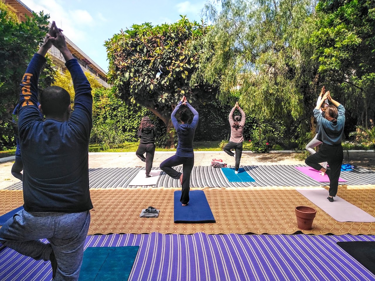 Daryoga - School Hatha Yoga Casablanca — photo 4