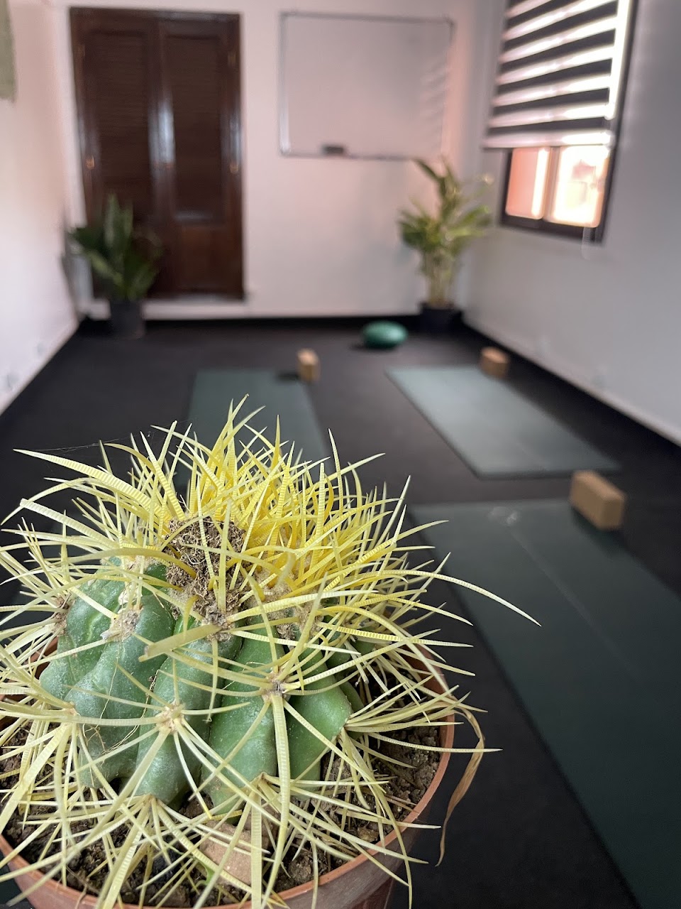 Kioze - Yoga Marrakesh, Studio Yoga 100% Femmes, Pilates Marrakesh, Dance Orientale, Boxe Femmes, Cours De Yoga Marrakesh — photo 3