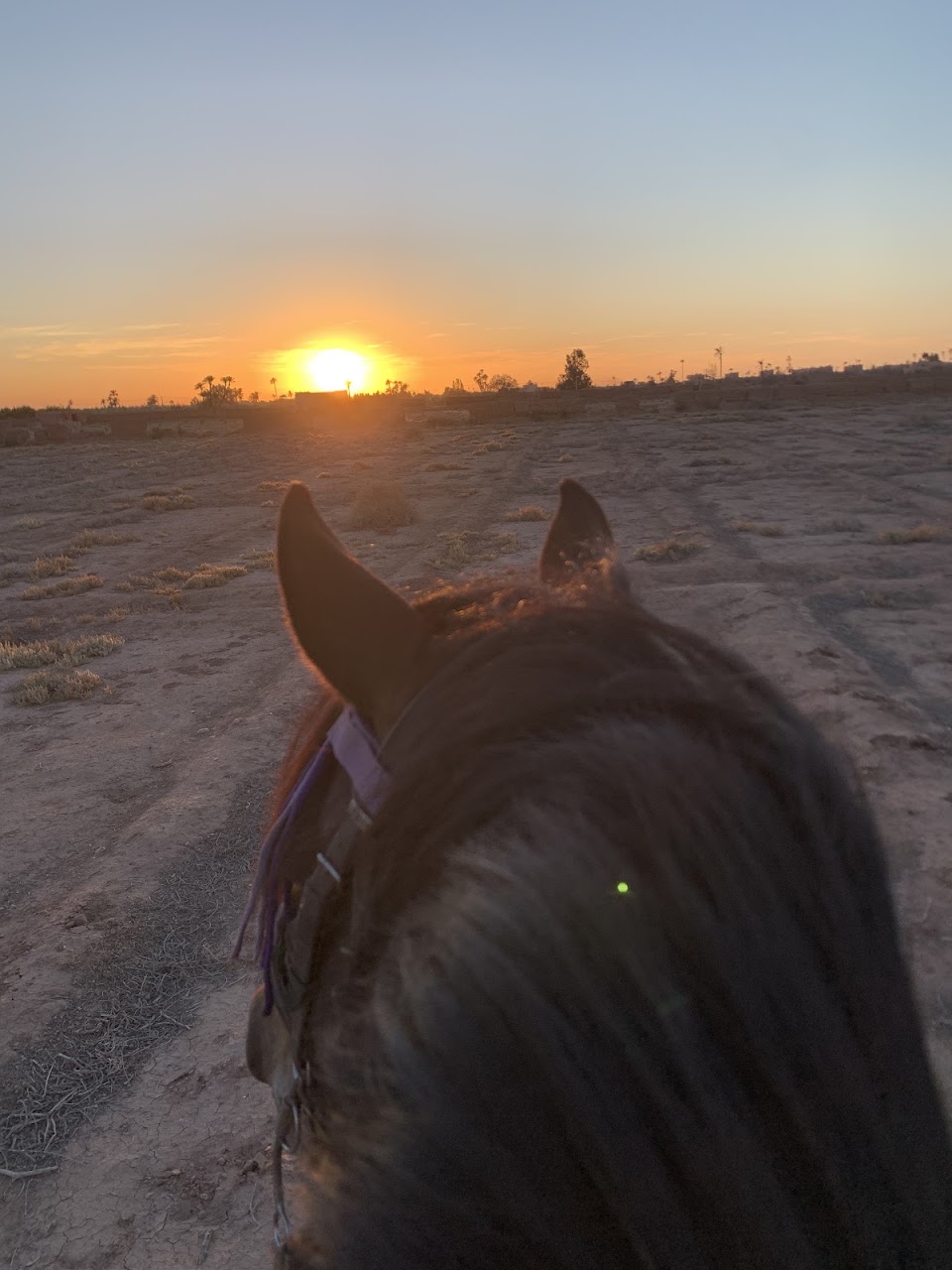 Sunset Horse Ranch — photo 3