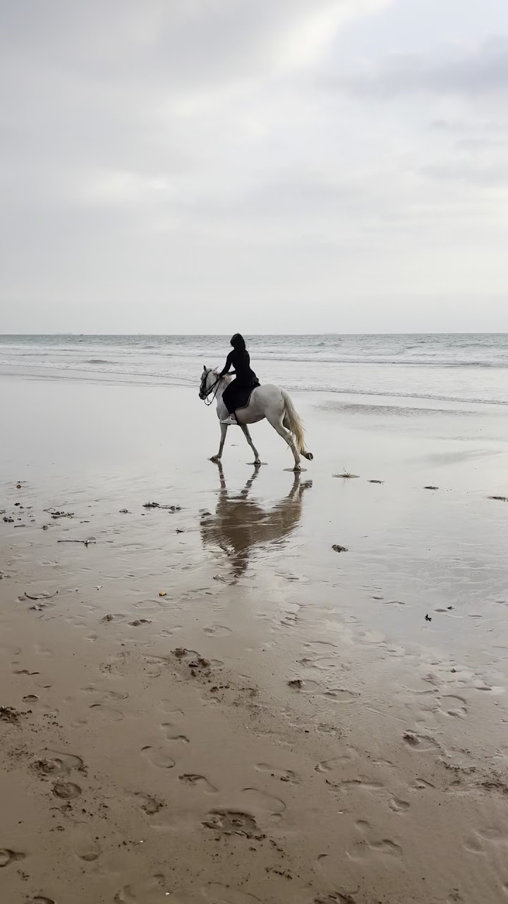 Equestrian Center Agadir Ocean Horse — photo 2