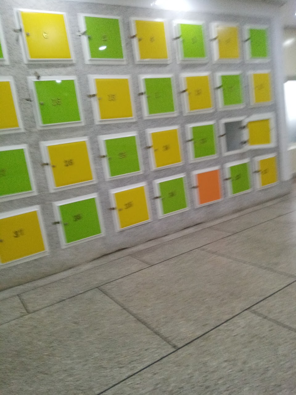 GO GYM — photo 4