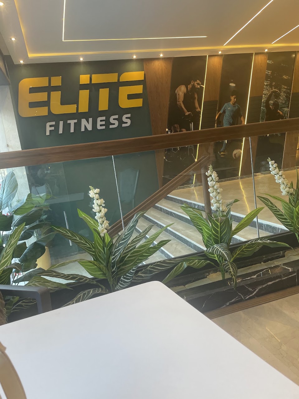 Elite fitness