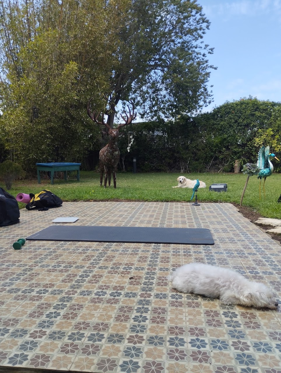 Coach Personal Trainer — photo 3