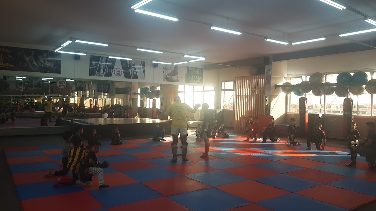 GO GYM — photo 2