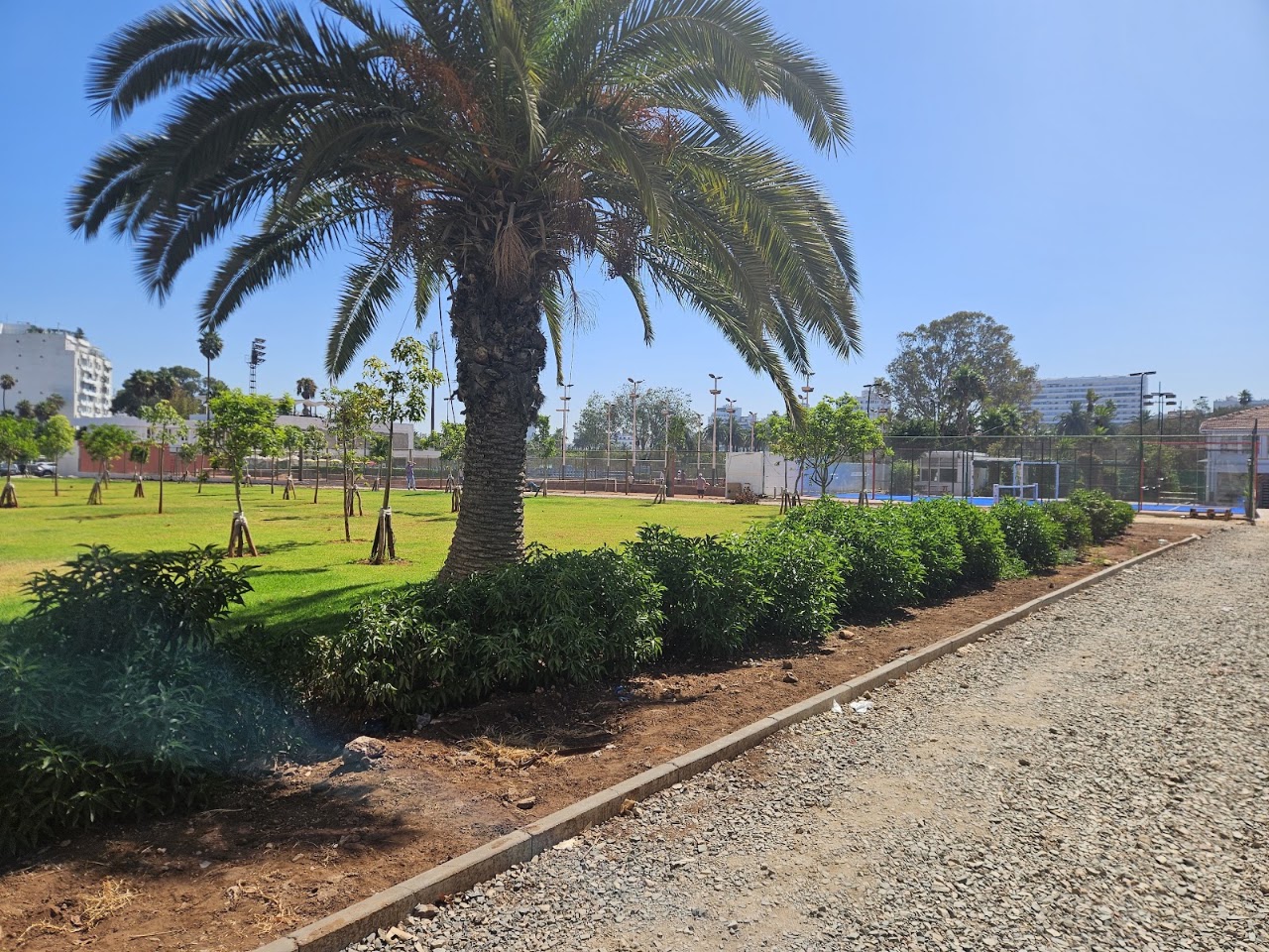 Union Sportive De Casablanca Moroccan Tennis Club — photo 4