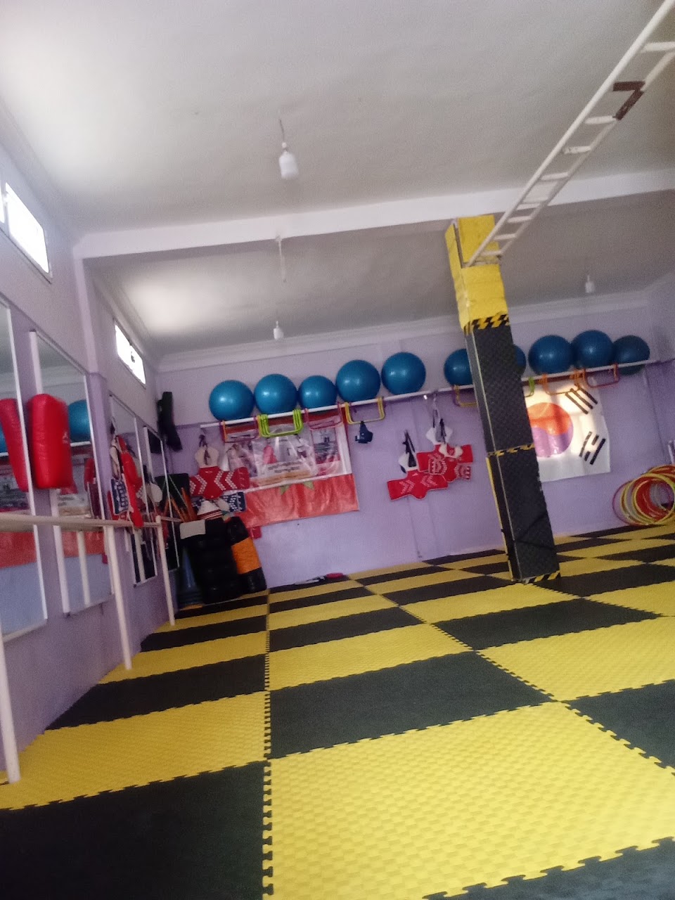 ابطال المستقبل للتايكوندو — photo 2