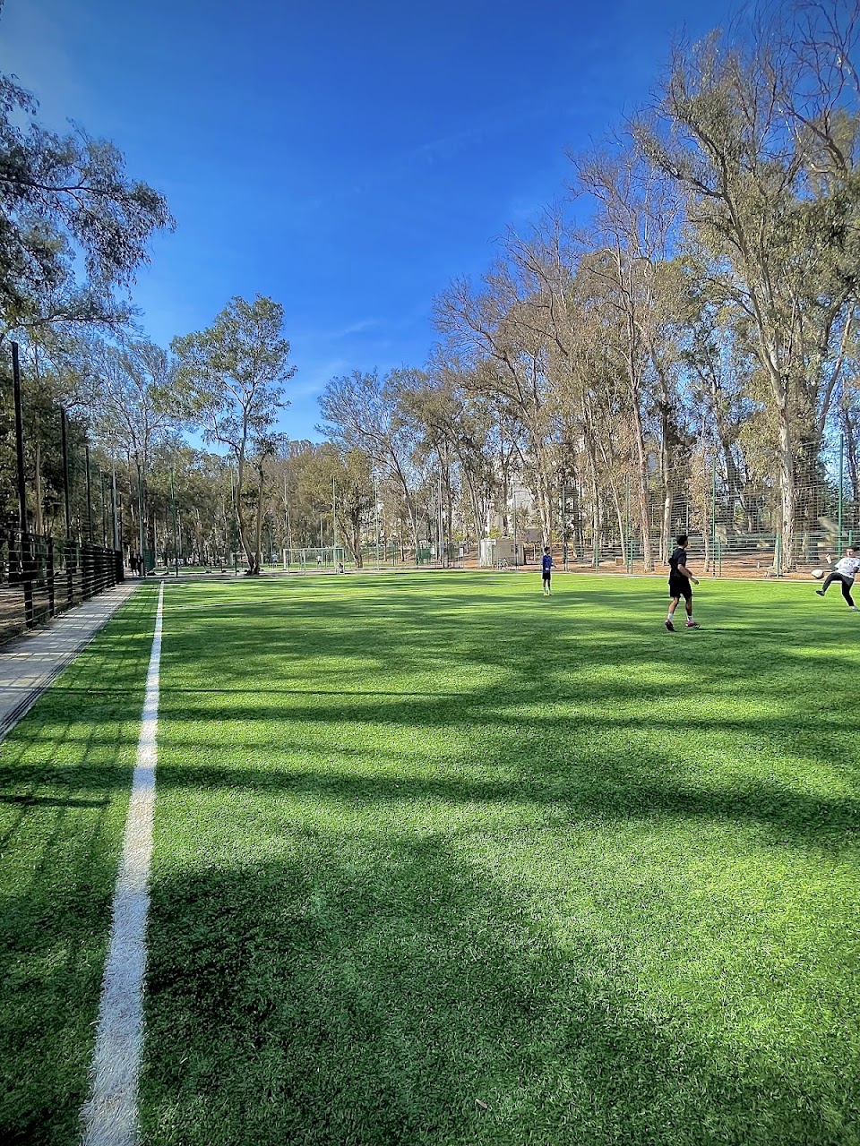 Terrain de football — photo 2