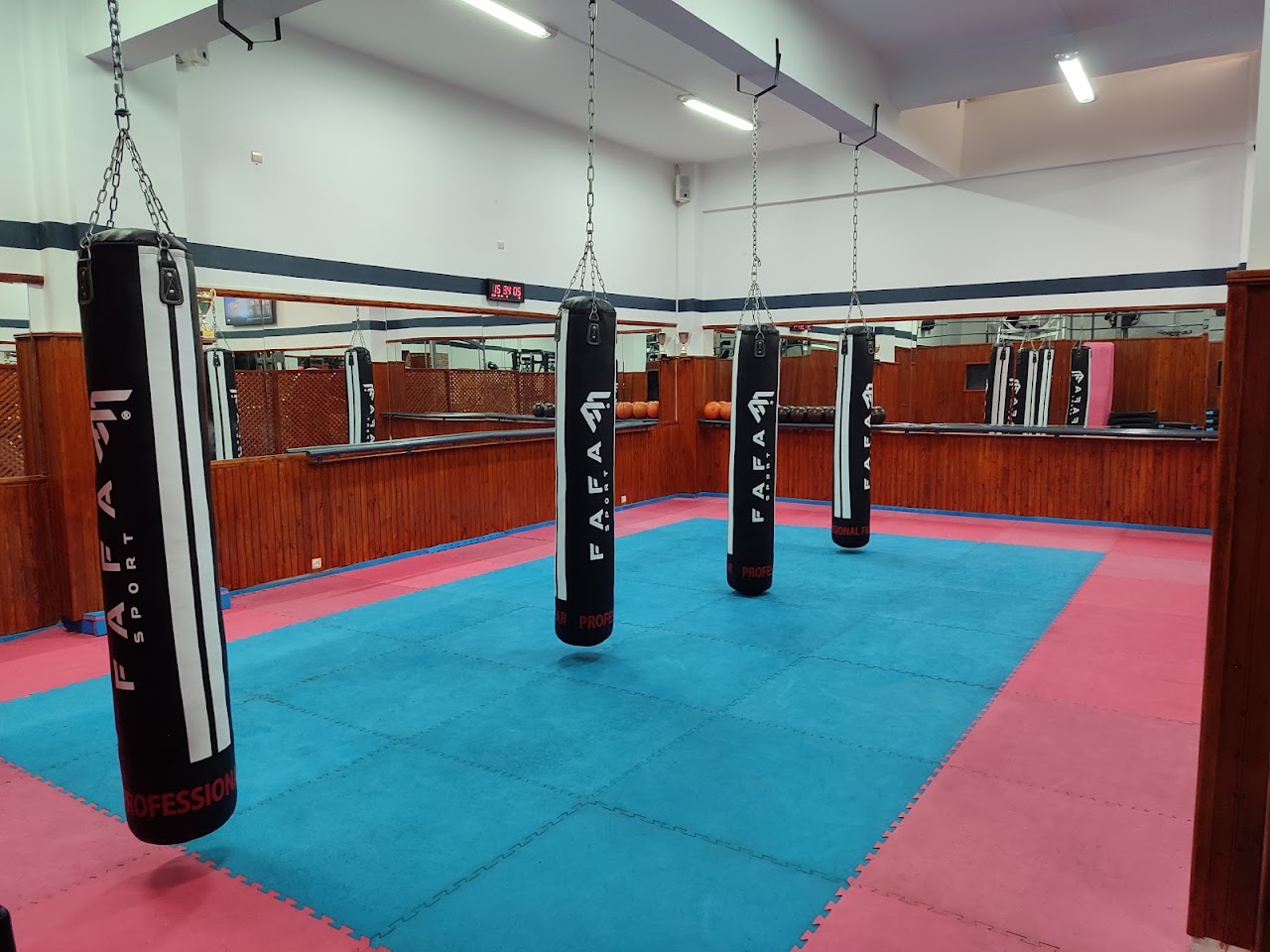 Vie Sportive Fitness Club — photo 3