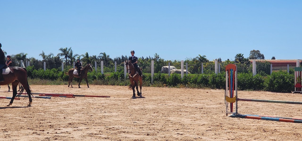 Equestrian Center Ouled Azzouz Les Ecuyers De Casablanca — photo 2