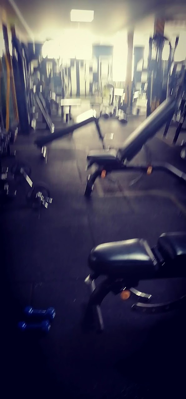 Muscle gym — photo 4