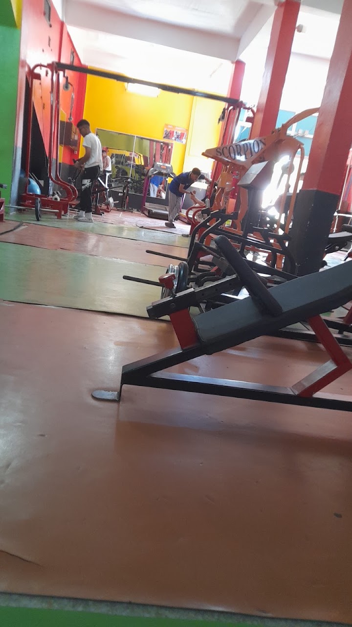 Star Gym — photo 4