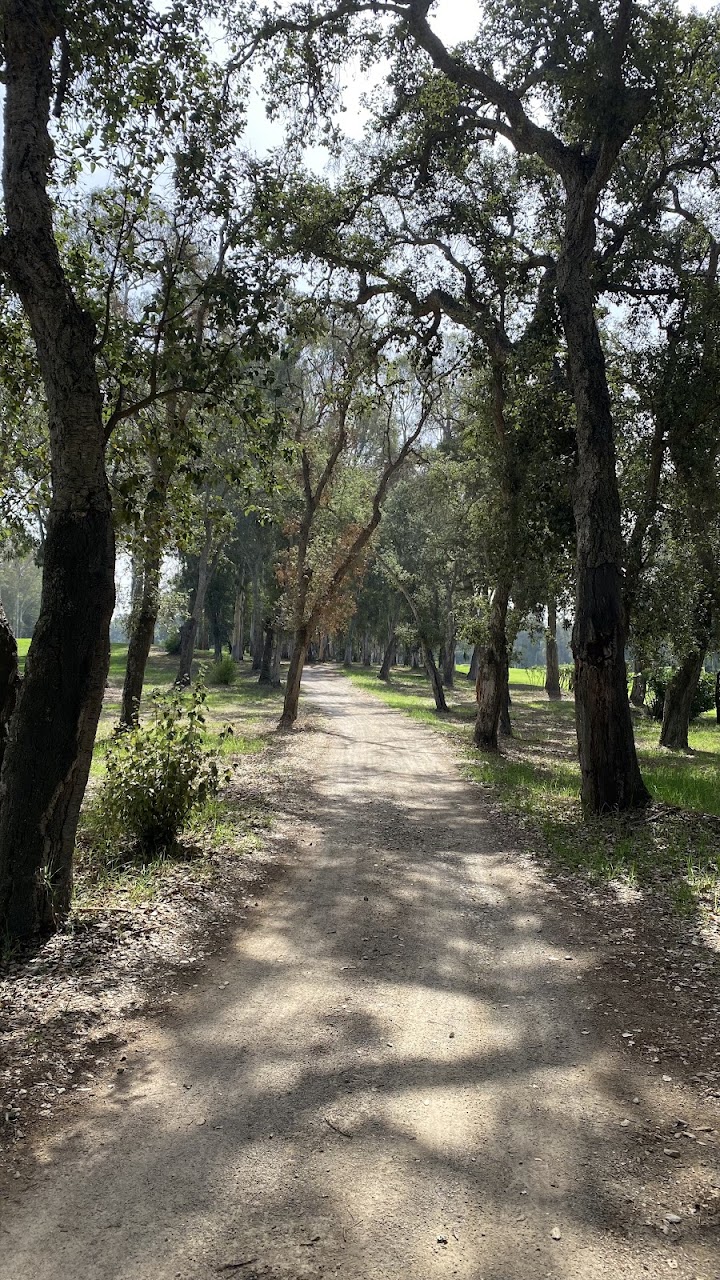 Royal Golf Dar Essalam — photo 4