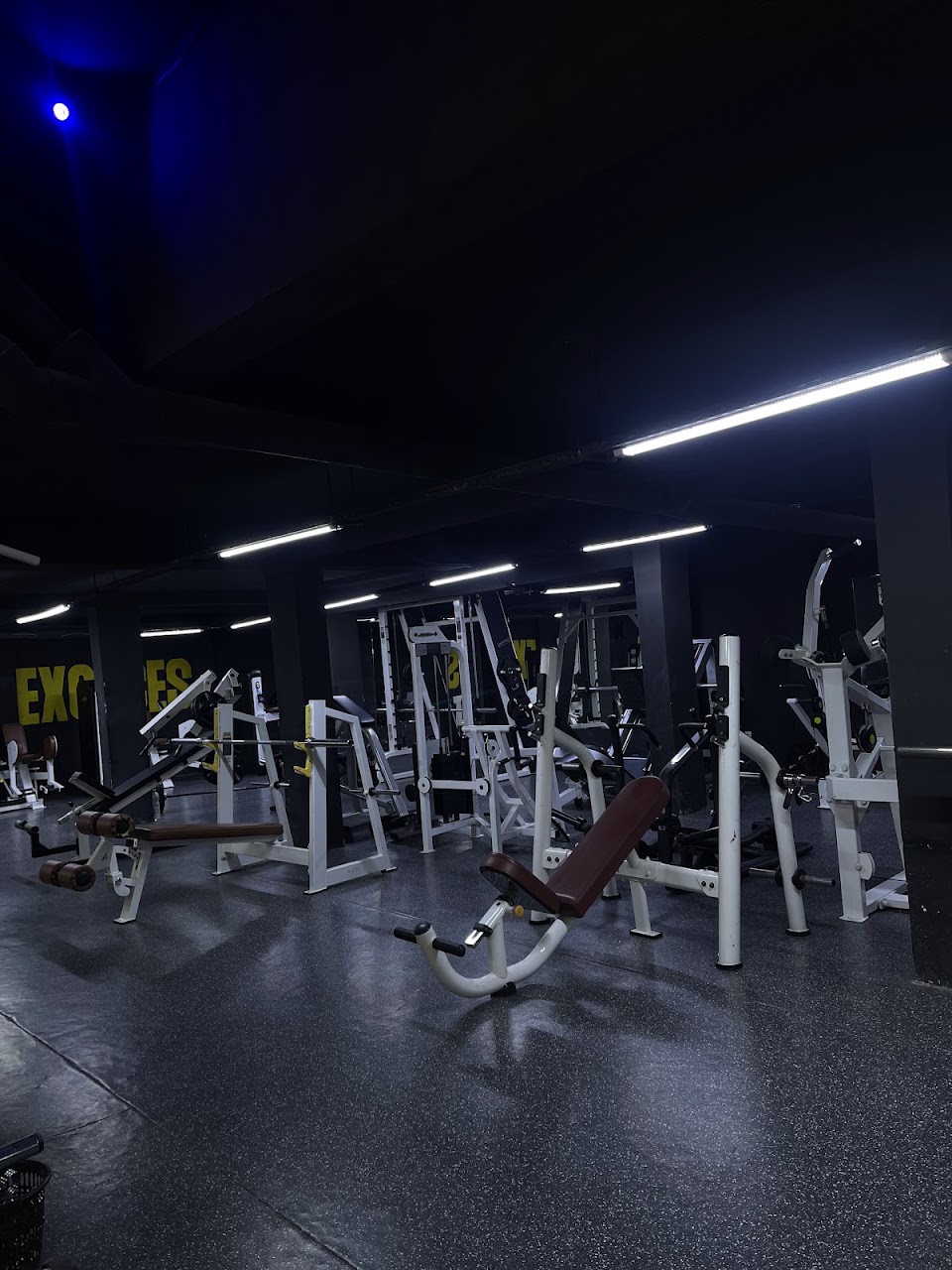 The Real gym — photo 4