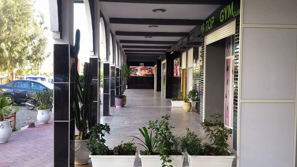 Top Gym — photo 2