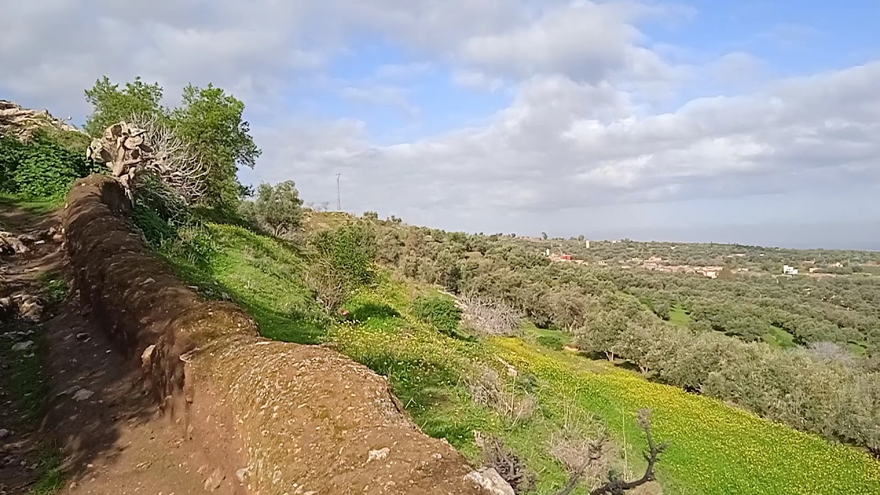 Paratlas parapente — photo 3
