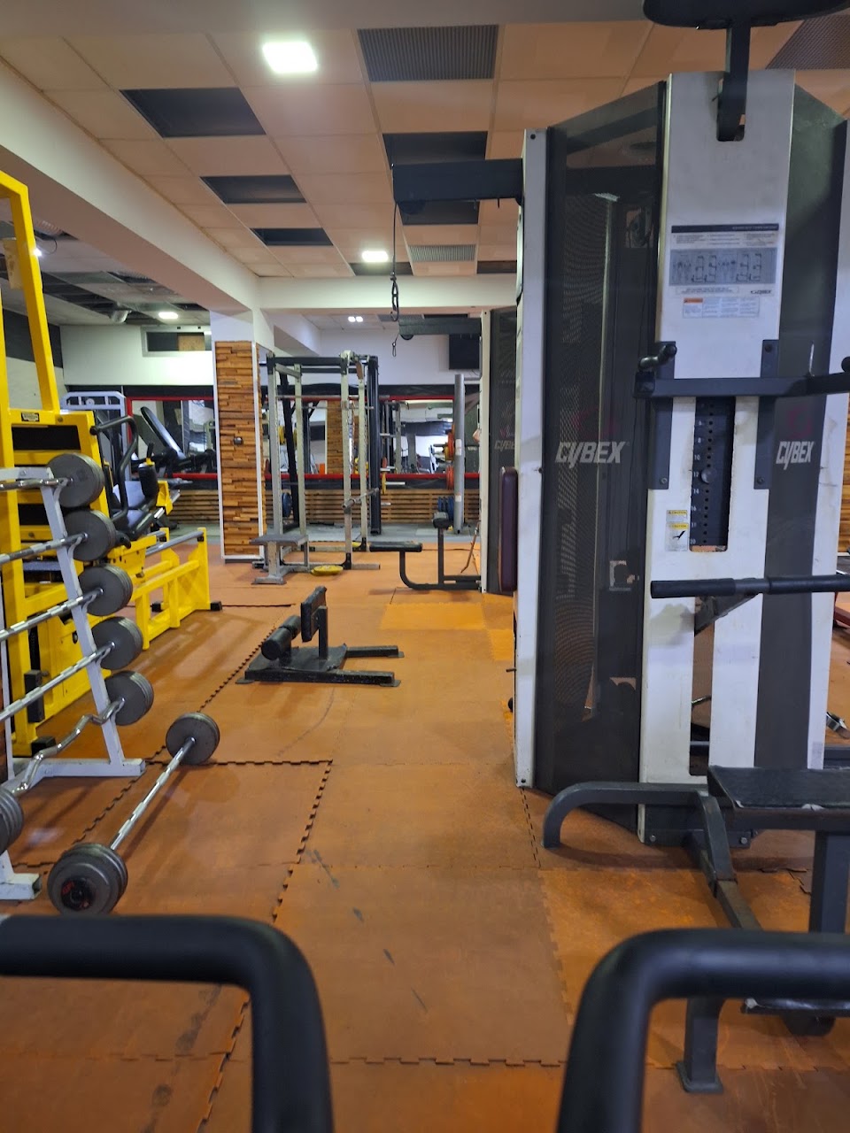Olympia Gym — photo 3