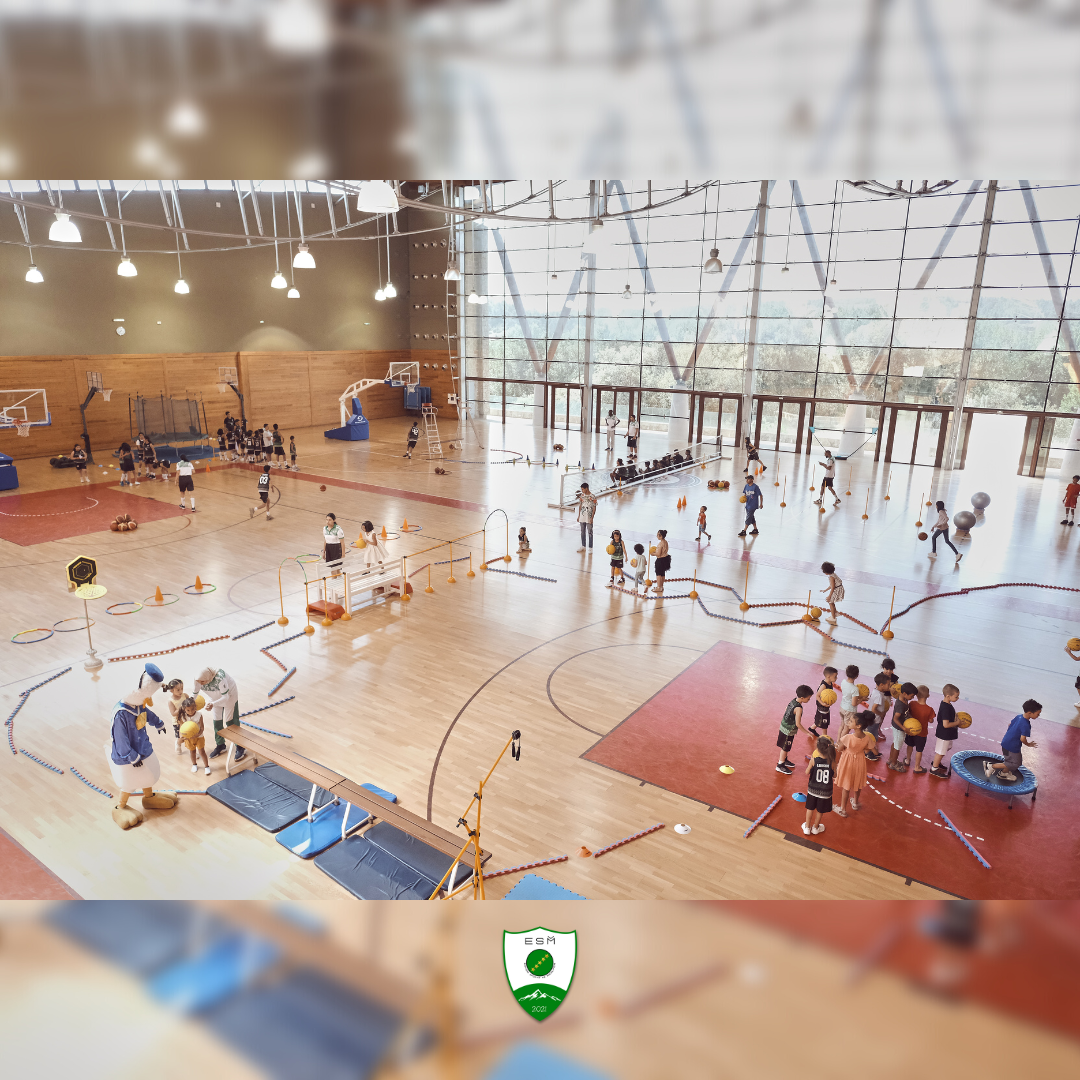 ESM Omnisports — photo 3