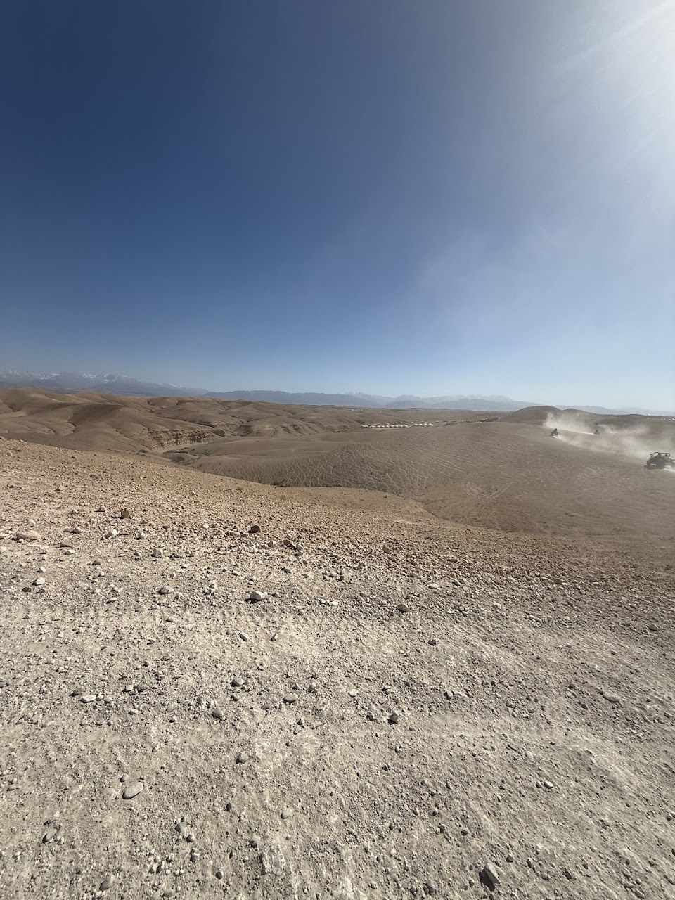 Chesnais Adventures — photo 2