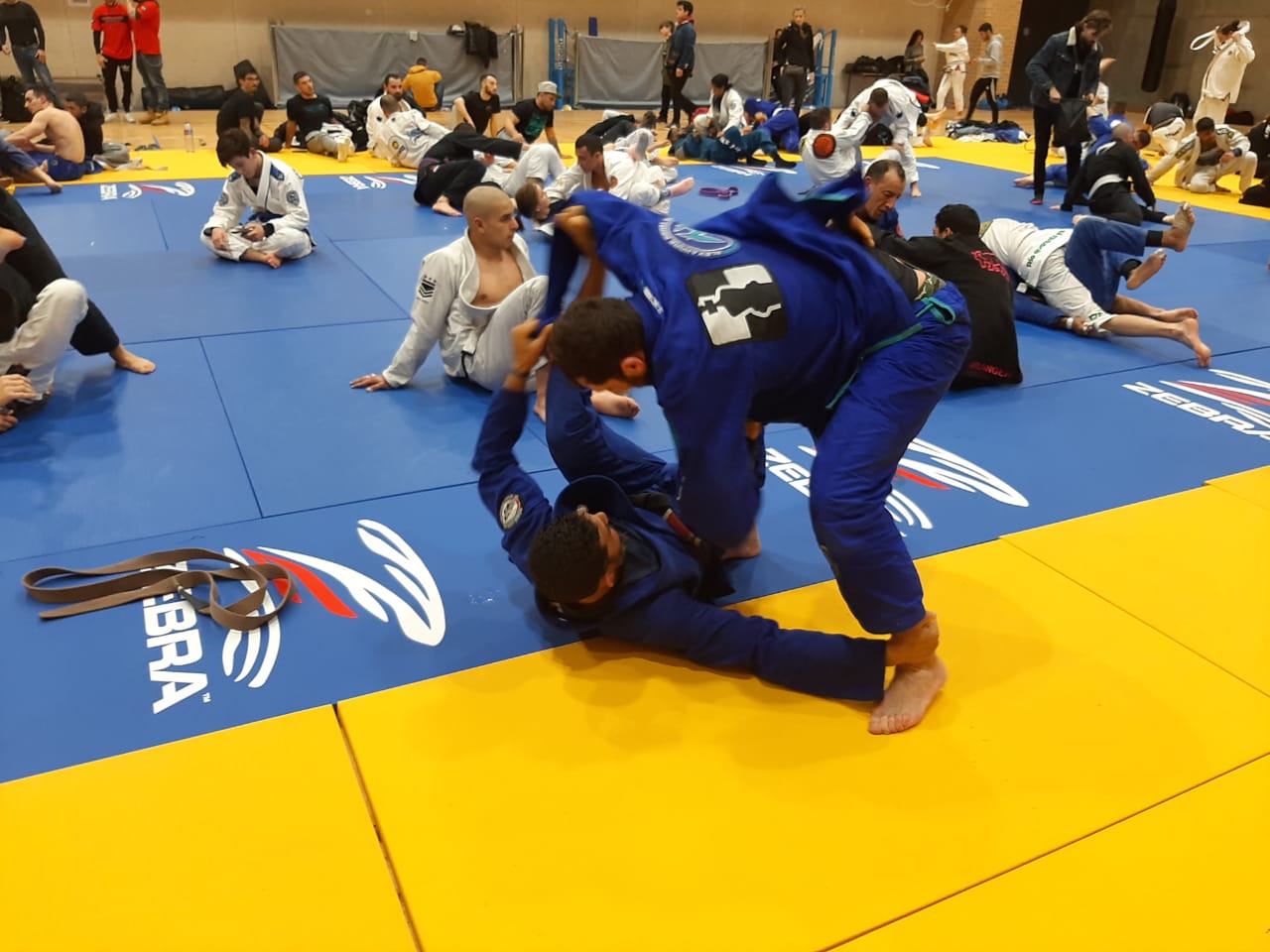 Ultimate Fight Academy