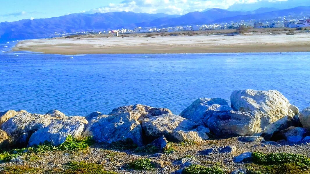 صالة المساوي لكمال الأجسام — photo 4