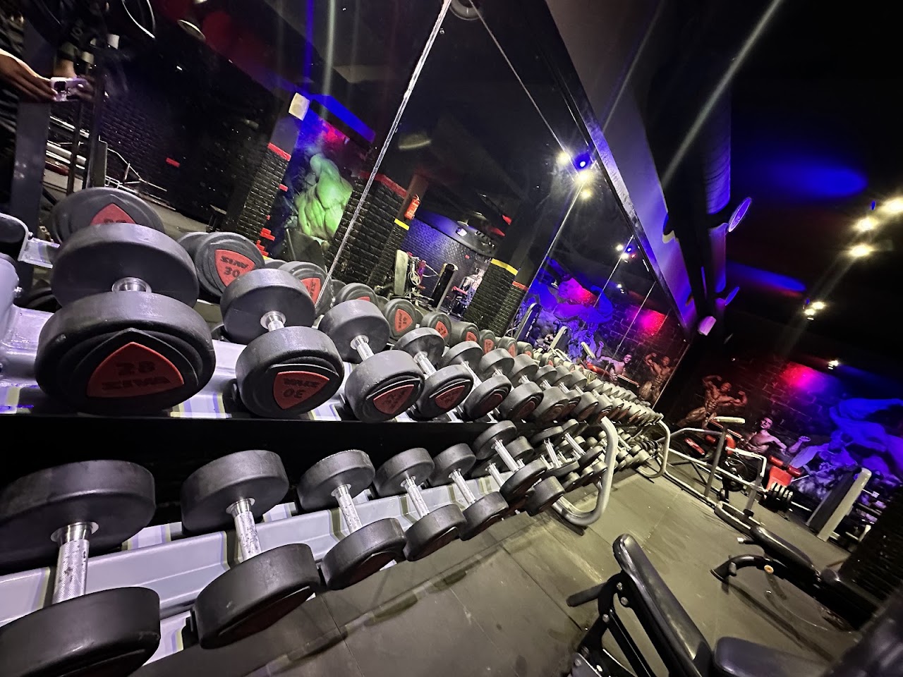 OMNIA GYM — photo 3