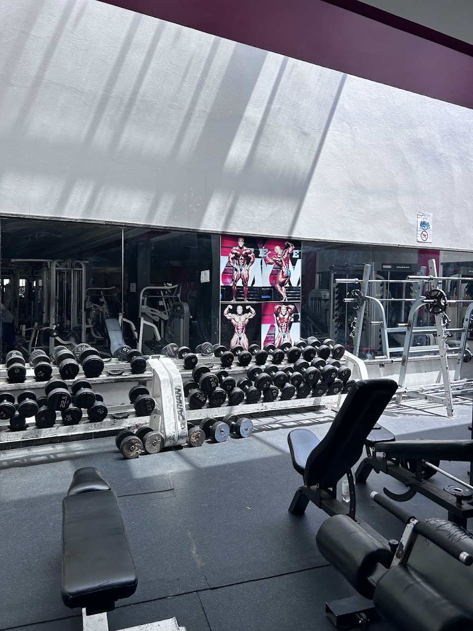 ASA FITNESS — photo 2