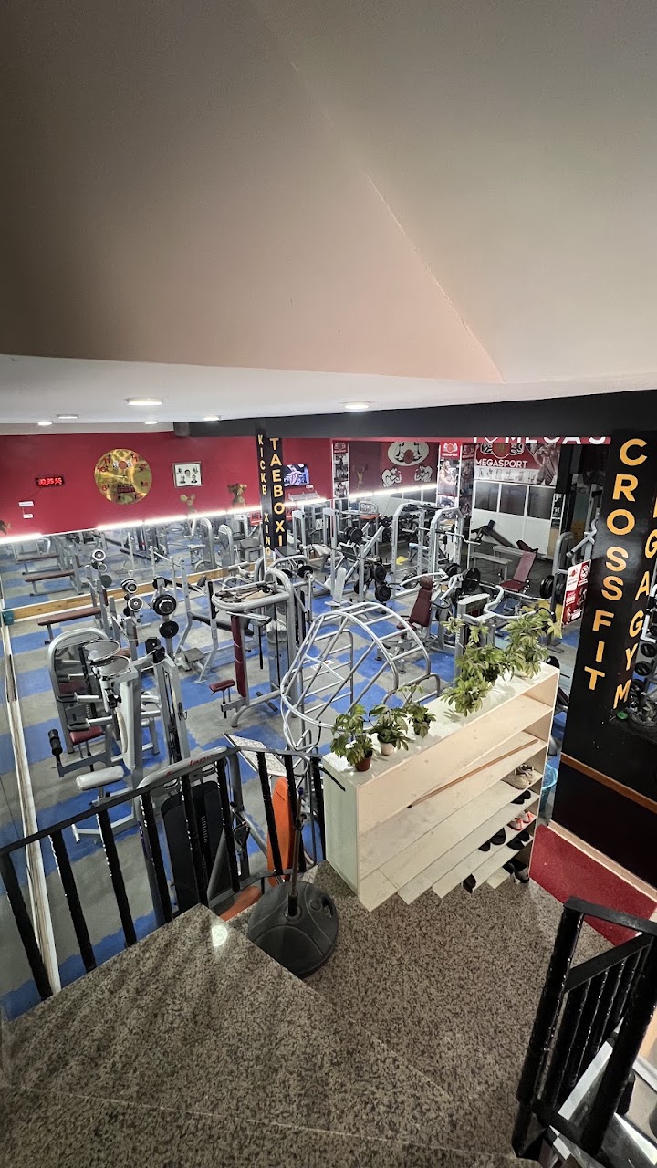 Mega Sport Gym — photo 3