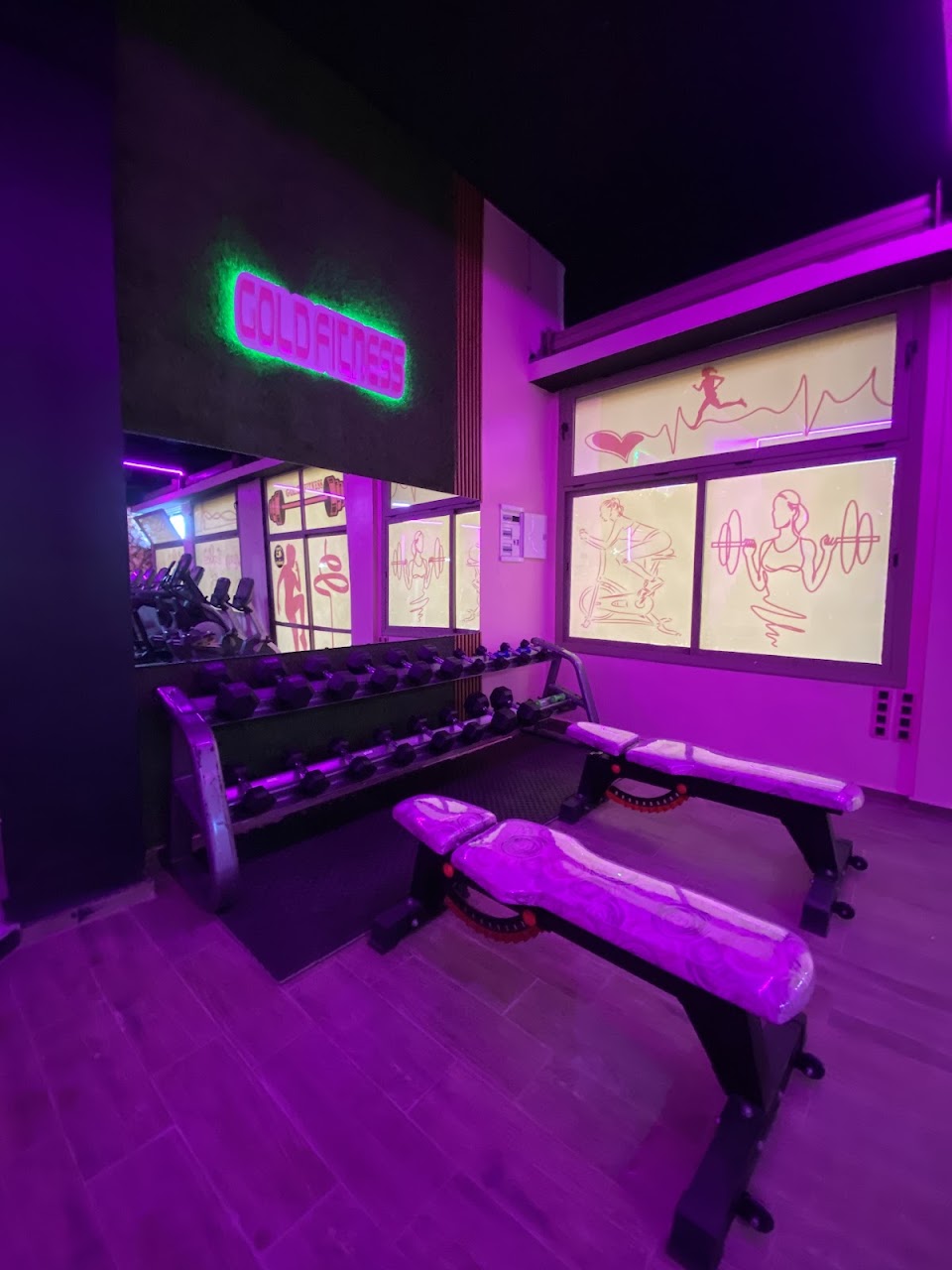 Gold Fitness — photo 3