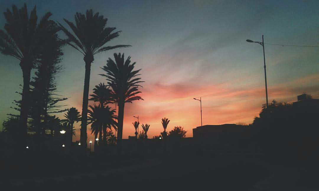 فهود كولومينا — photo 3