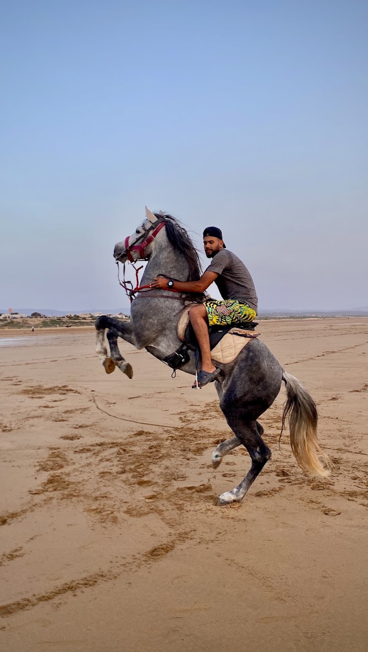 horse riding Sidi Kaouki (cheval)🐎🫶🏻 — photo 4
