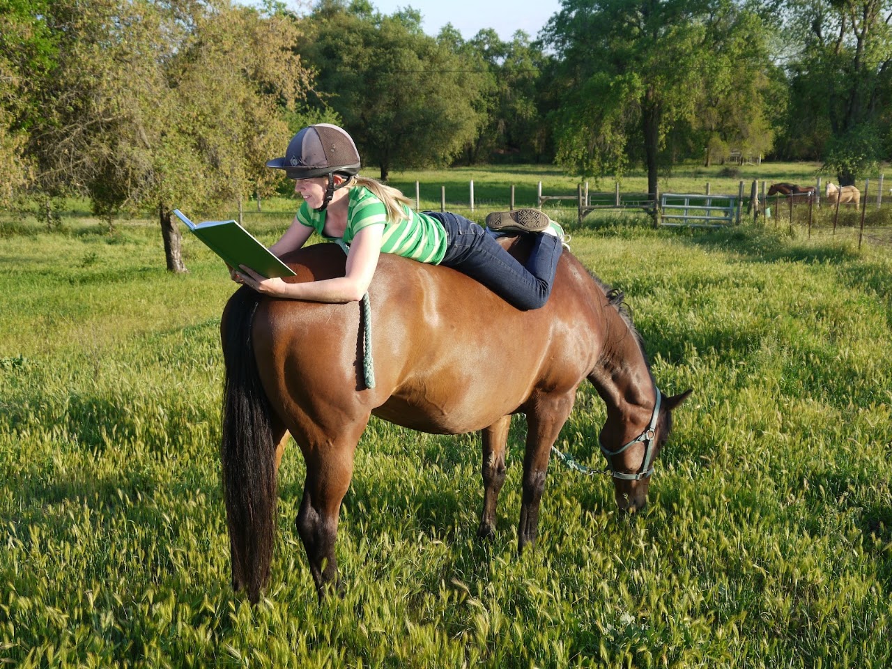 Equi-Passion — photo 3