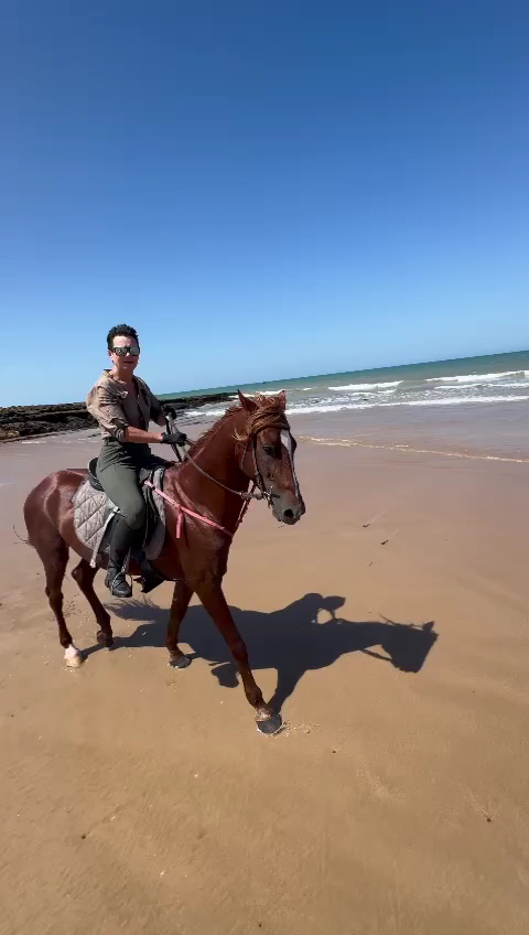 Cheval Kaouki — photo 2
