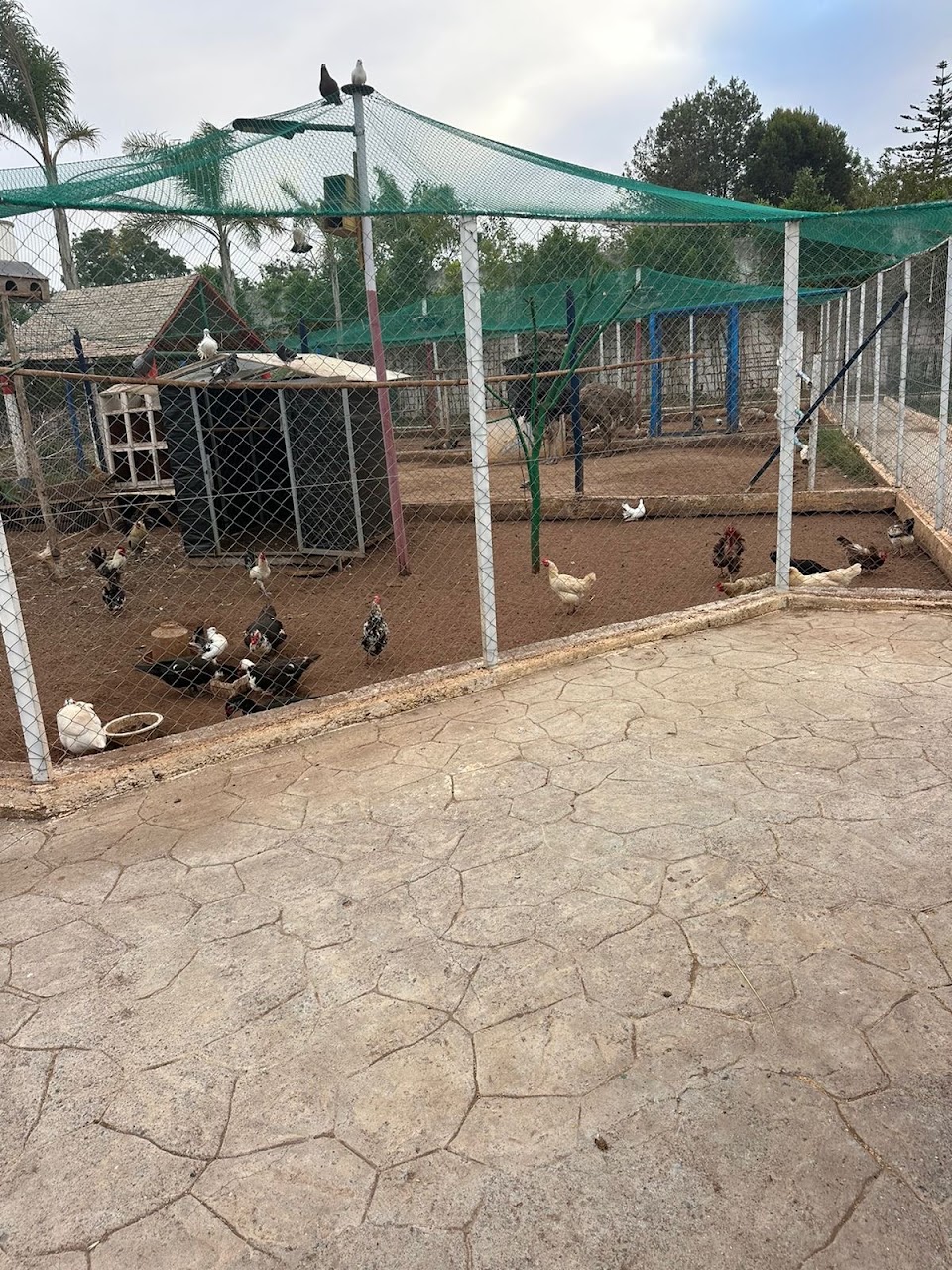 Club-E3SO-Club Nabata