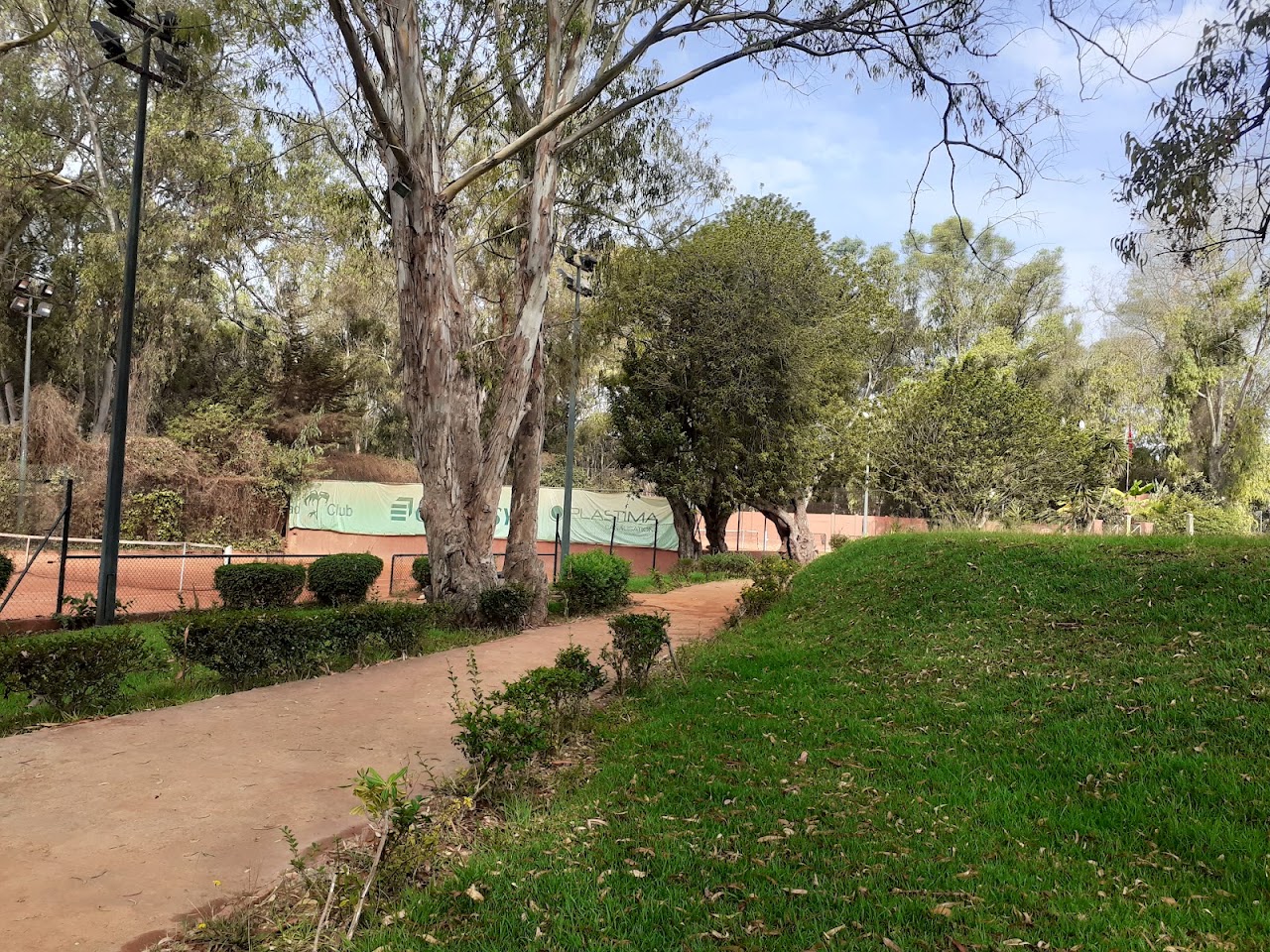 Riad Club — photo 3