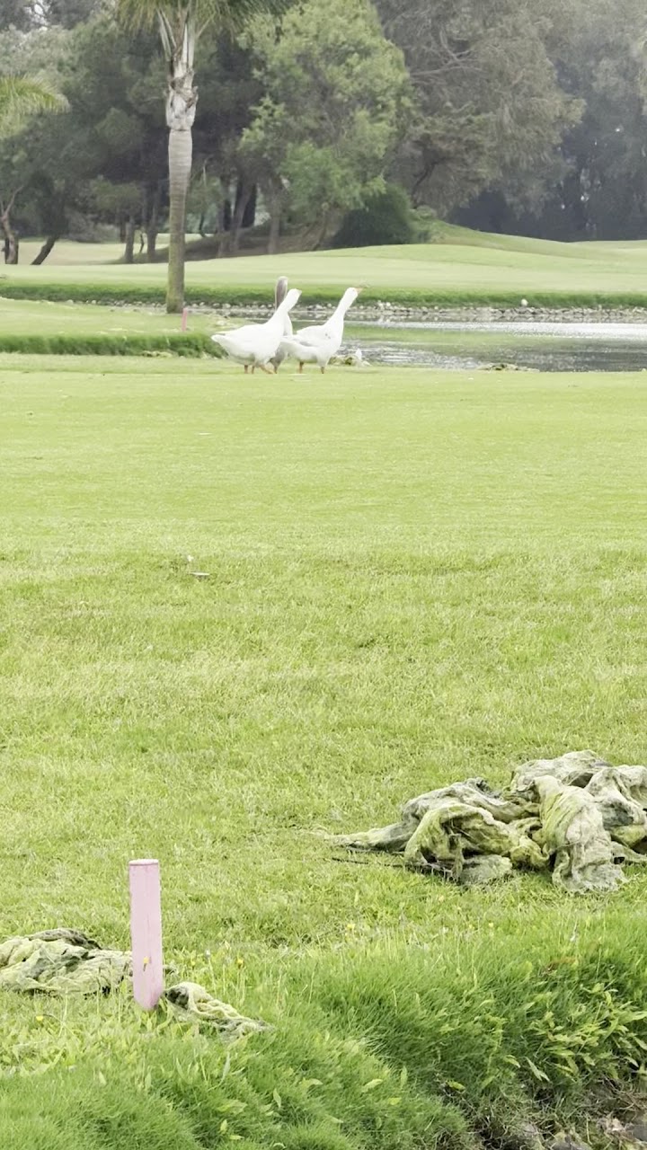 Golf Saidia — photo 2