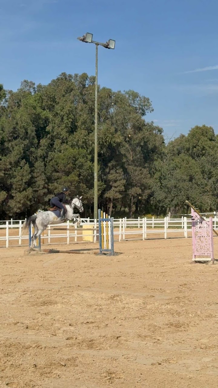 Royal Club Equestre l’Eperon d’Argent — photo 3