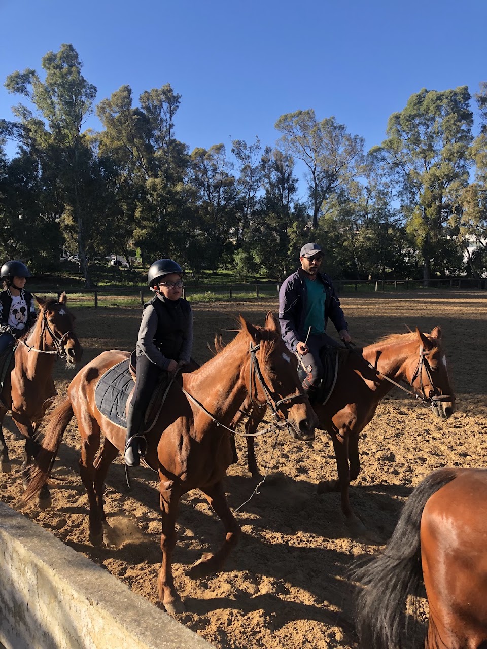 Royal Equestrian Club — photo 4