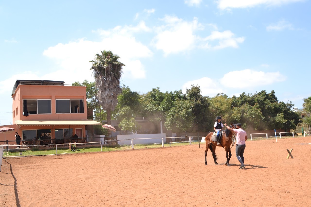 Shoul's Horse — photo 4
