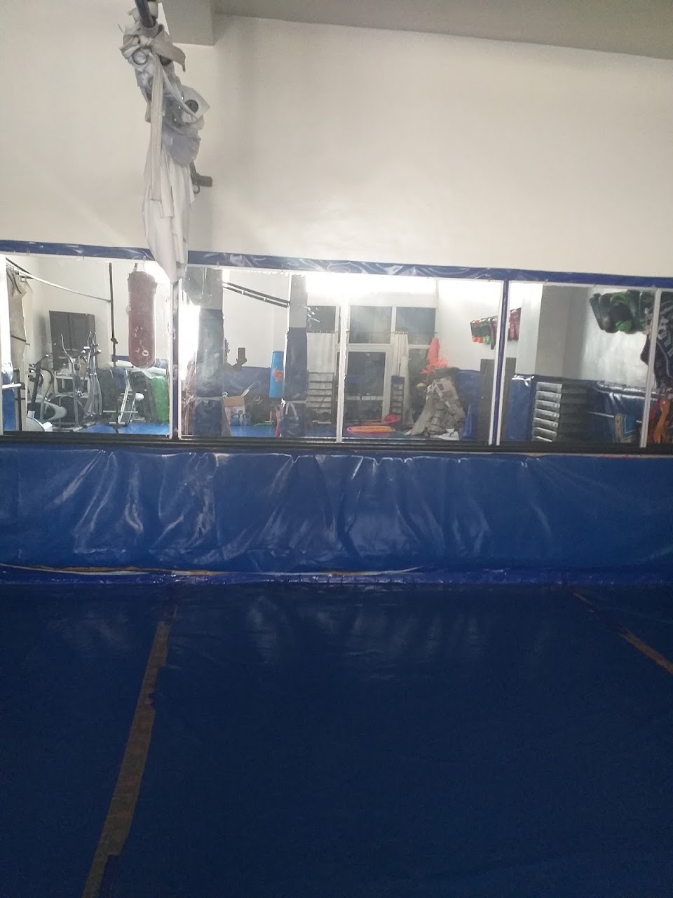 رياضة mma او ufc — photo 3