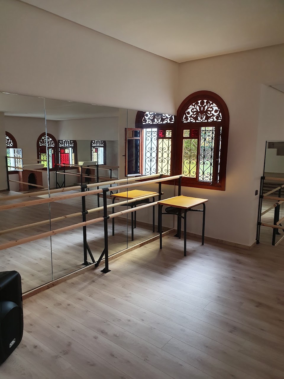 Arda - Académie Russe De Danse Et Des Arts — photo 2