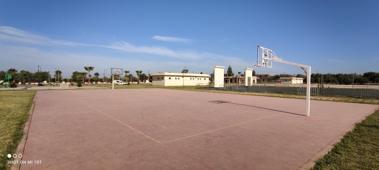 SFCBM Basketball School -B- — photo 4