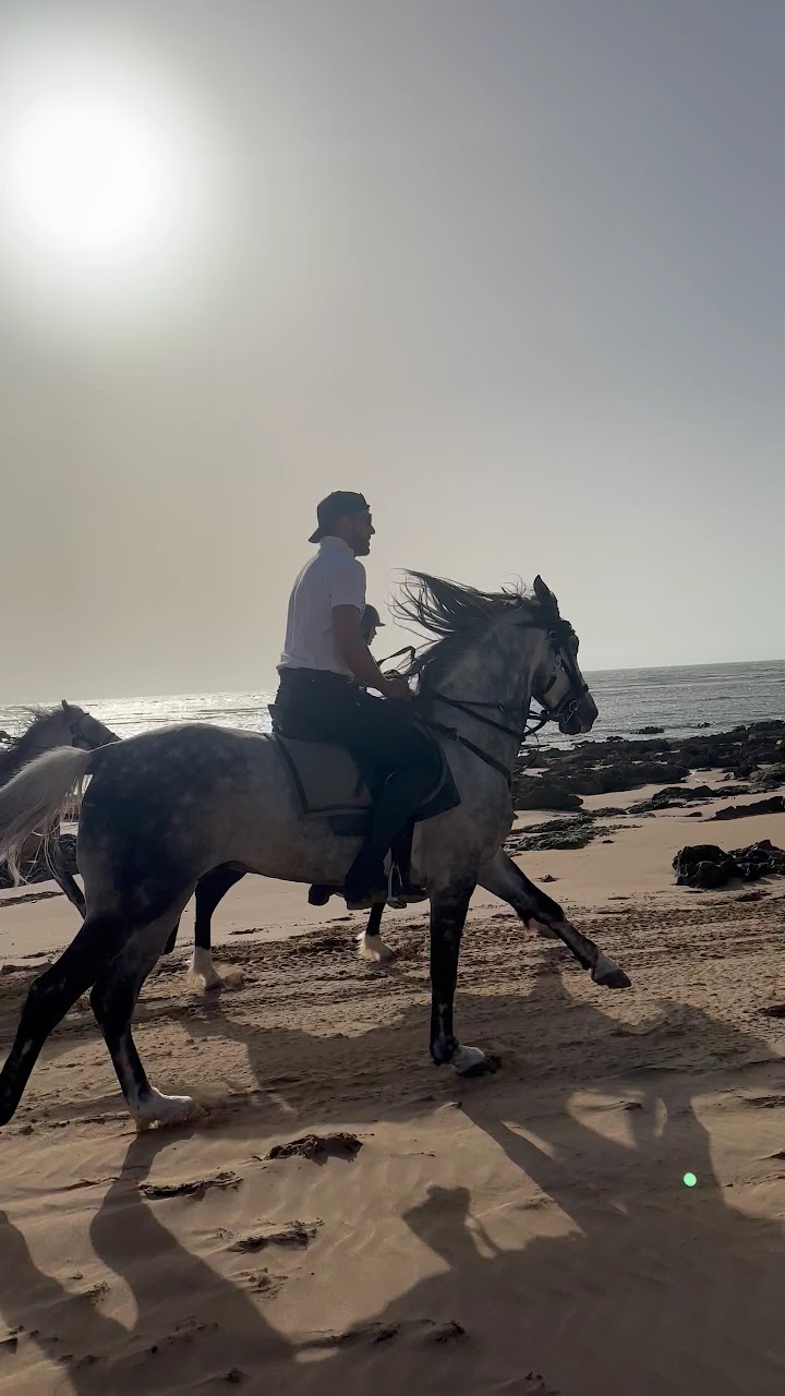 Horse riding with Dream Getaway Morocco — photo 2