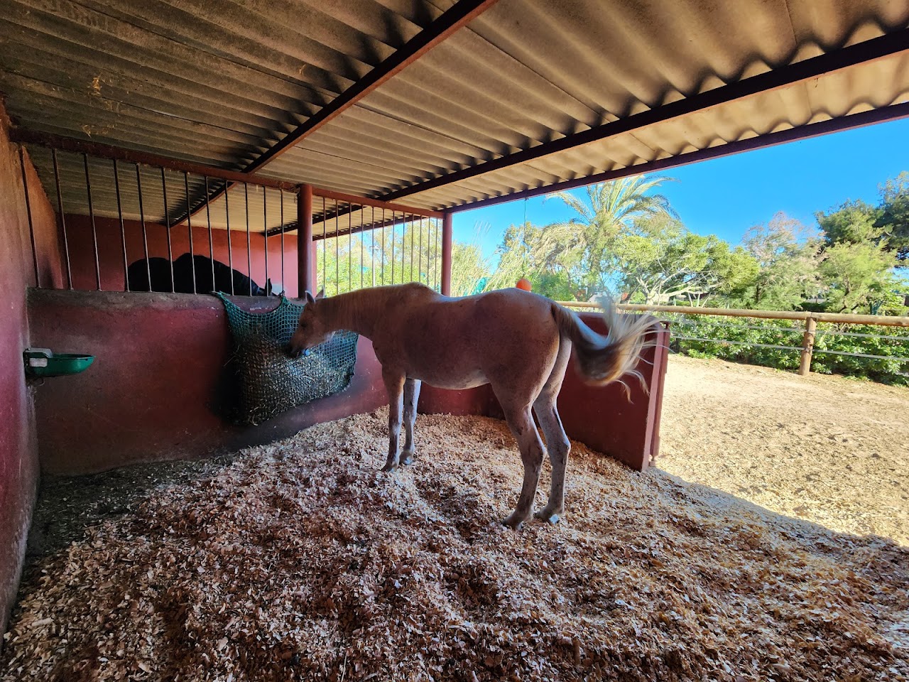 The Ferme Equestre Dar Bouazza — photo 4