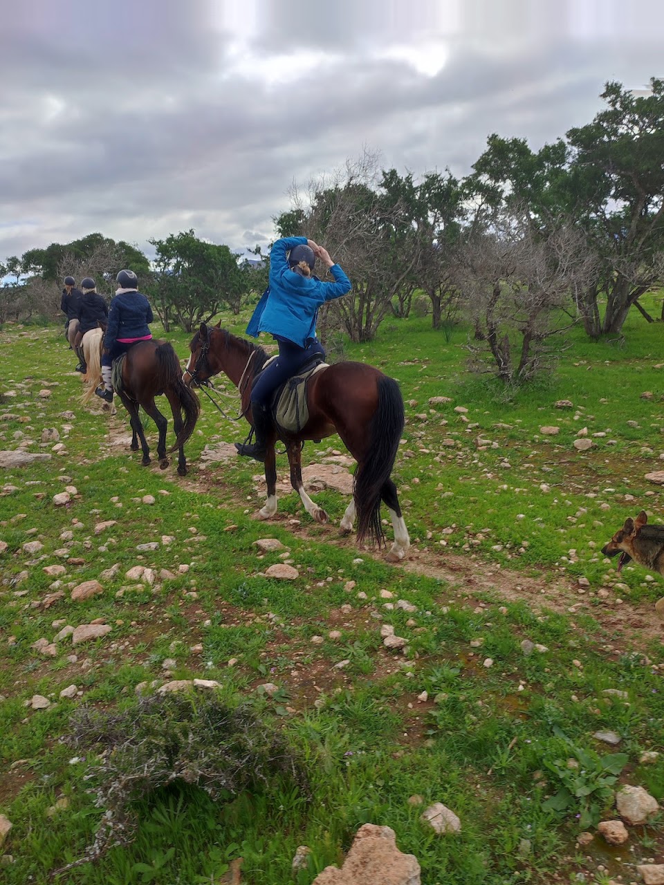 Sidi kaouki horse riding — photo 3