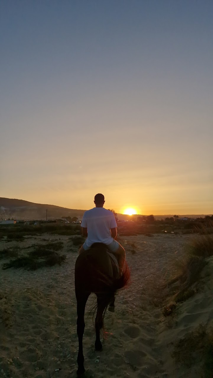 نادي تازودة للفروسية — photo 4
