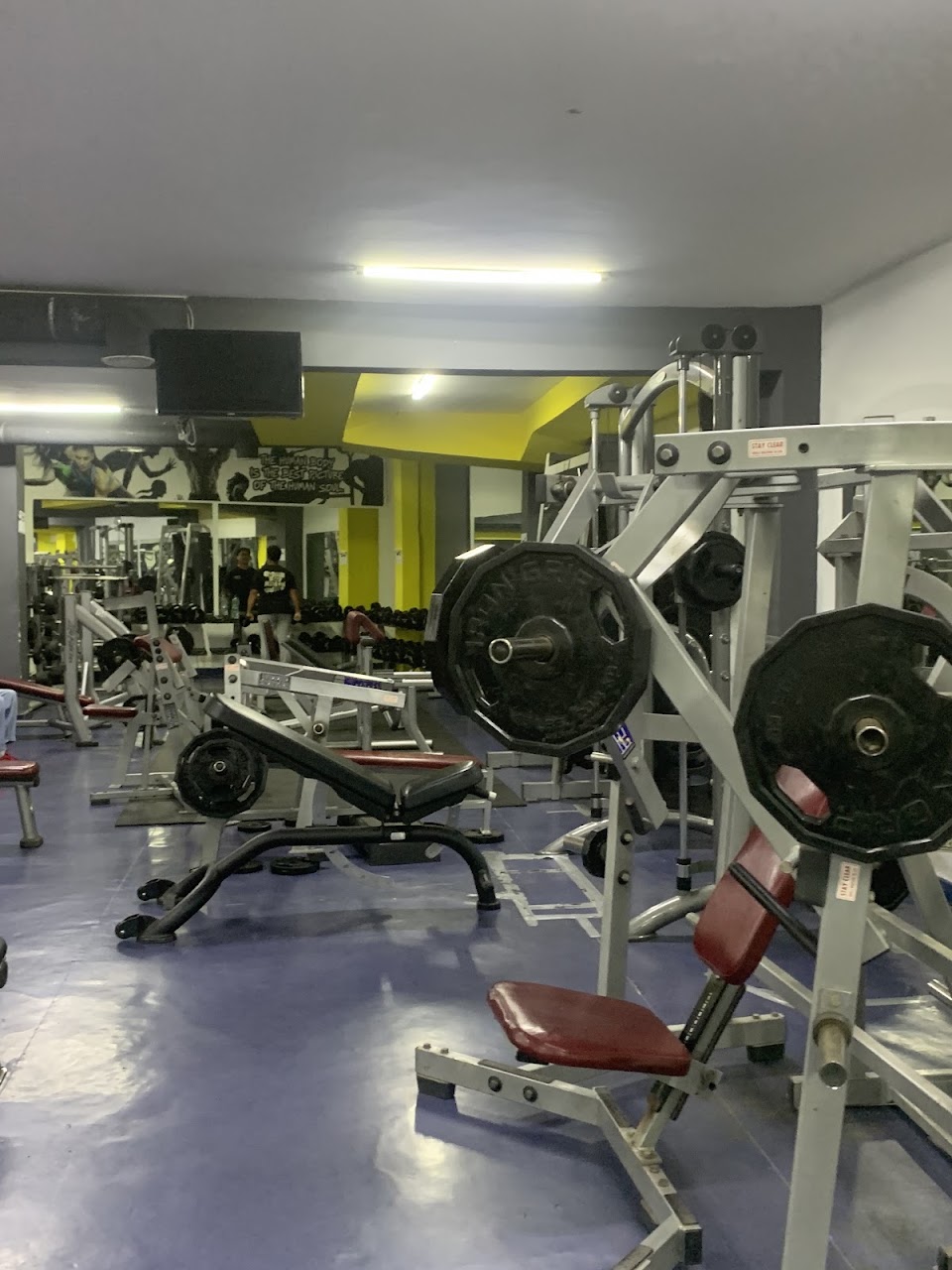 Revive Sport