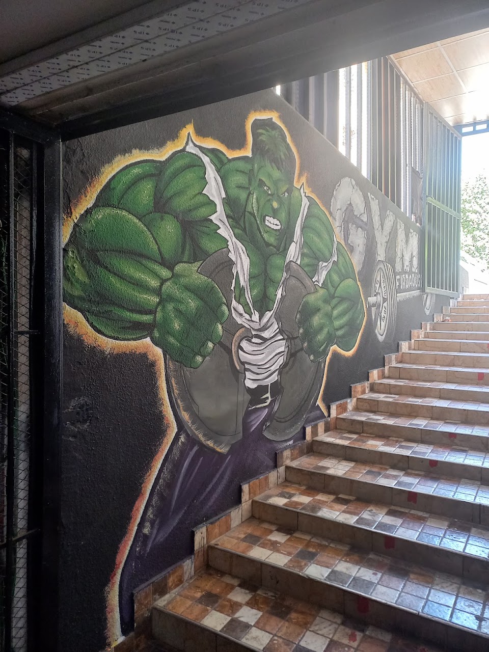 GYM El Ferdaous — photo 3