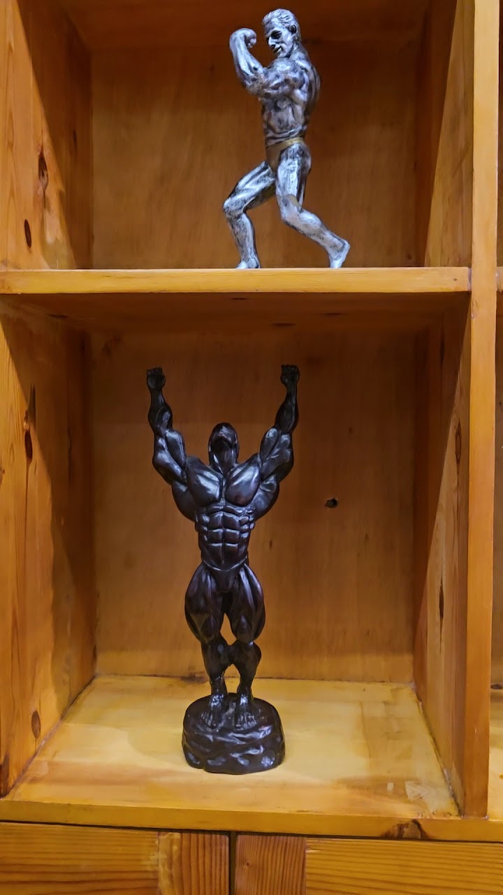 Mr boudi gym — photo 2